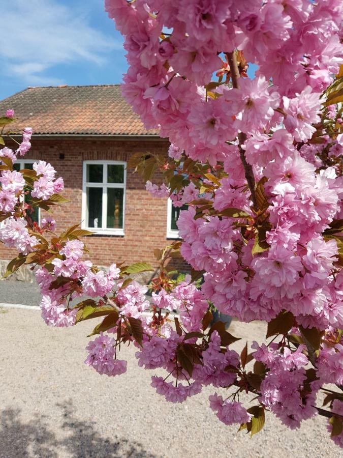 Horlinge Guesthouse Finja Extérieur photo